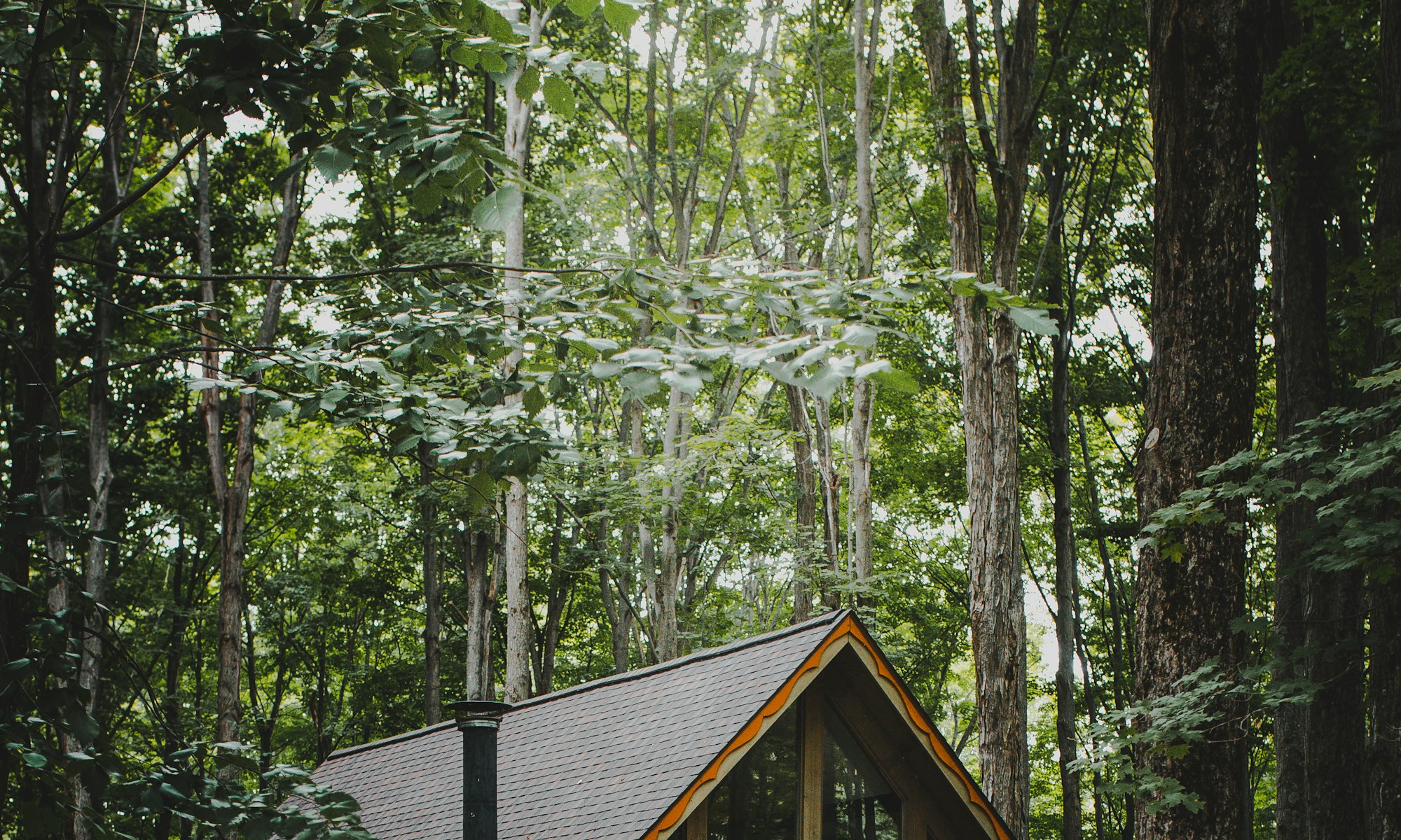 Karakteristieke vakantiewoning in Twente